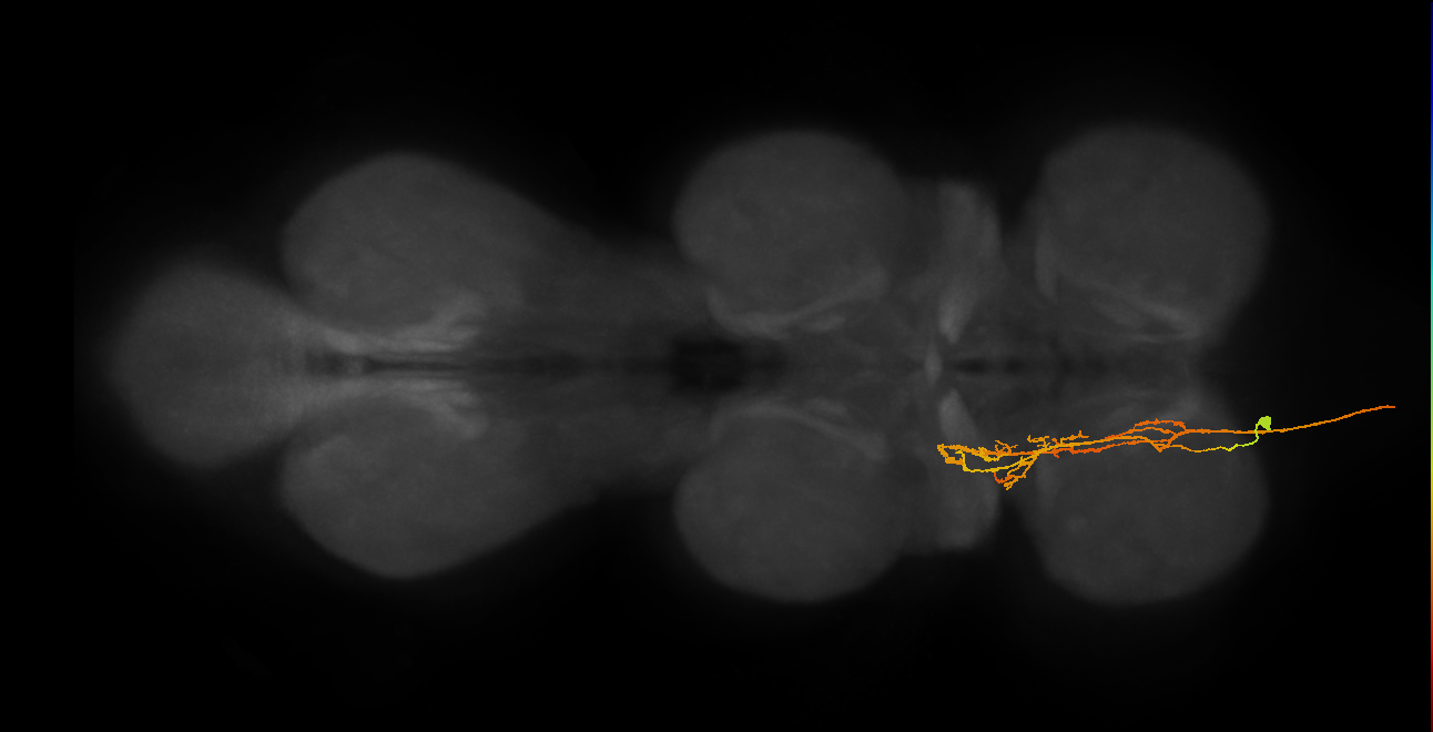 AN16X037_T1_L (MANC:25126)