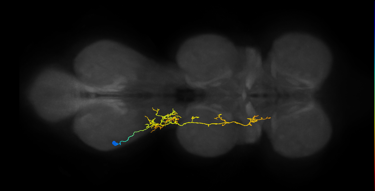 IN16X045_T3_L (MANC:25138)