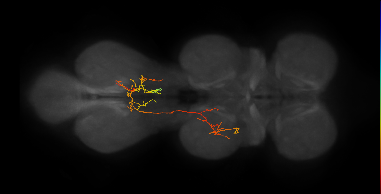 IN19B082_A1_R (MANC:25207)