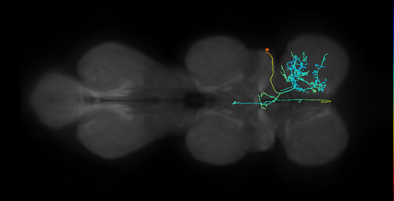 IN23B024_T1_R (MANC:25217)