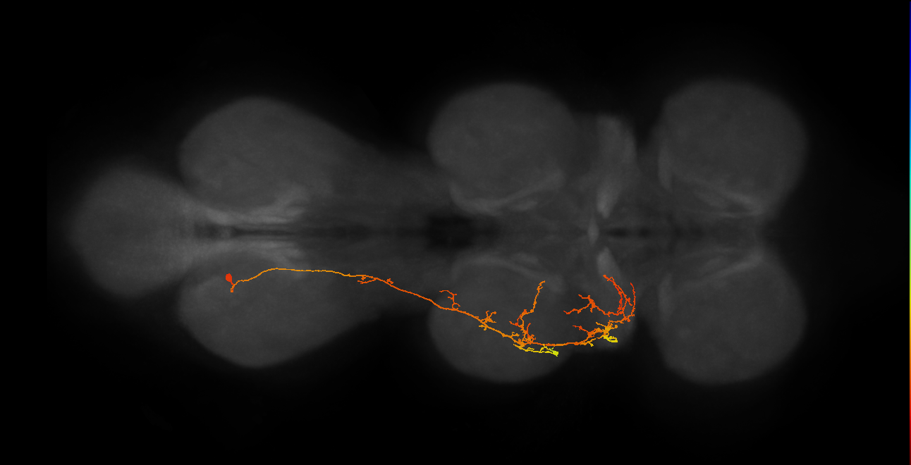 IN03B078_A1_L (MANC:25229)