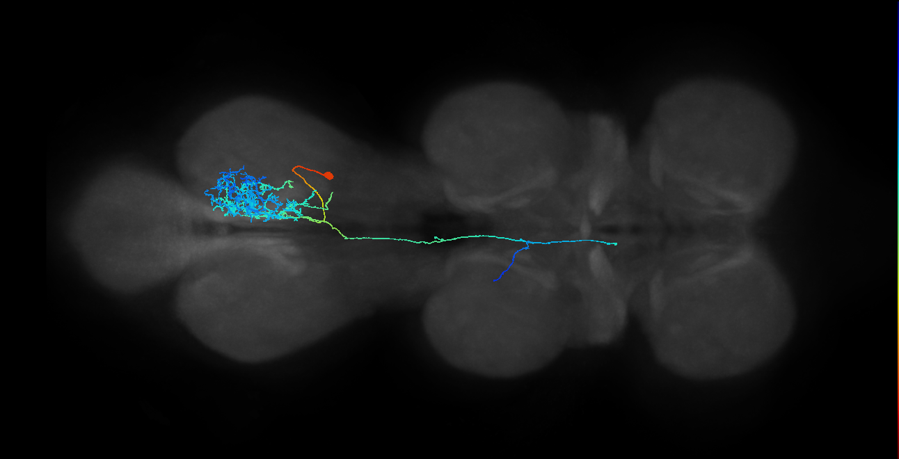 IN23B020_T3_R (MANC:25275)