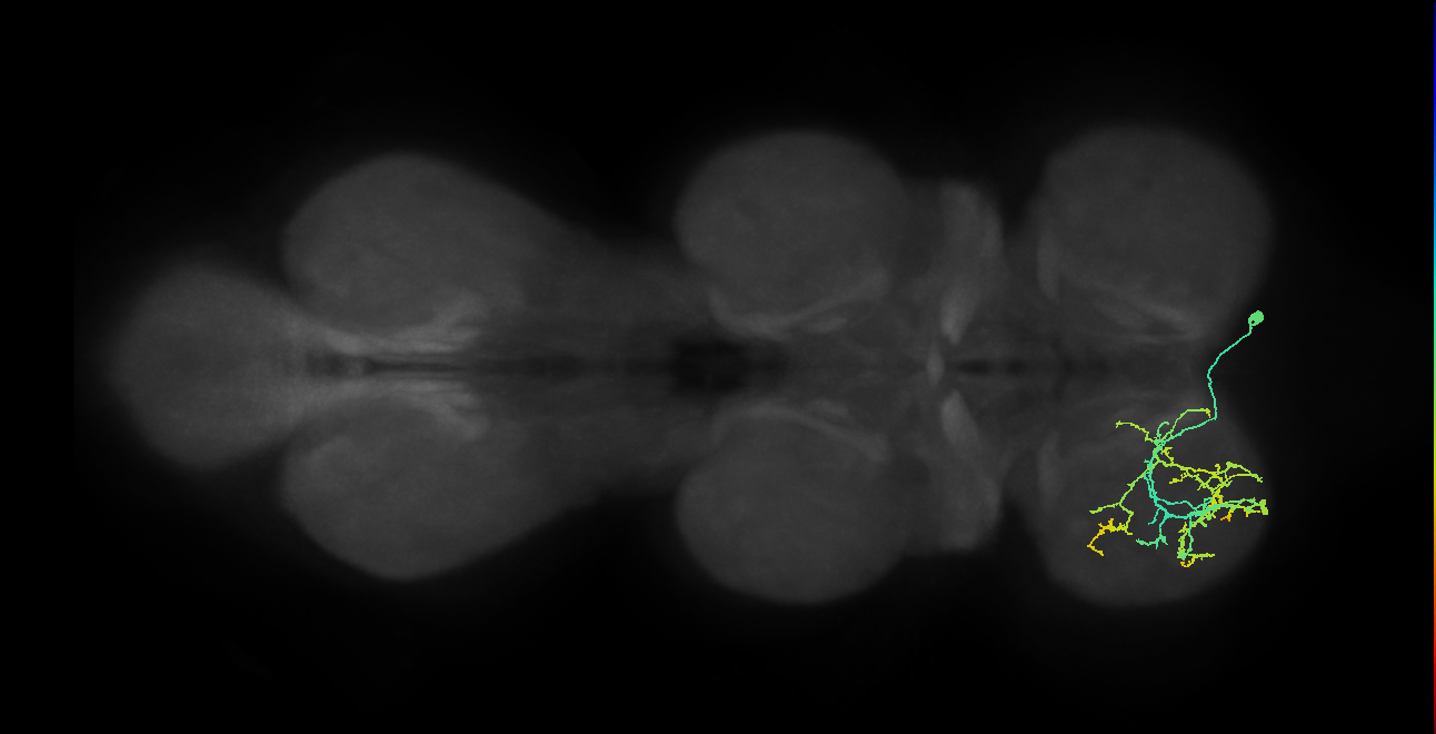 IN14A005_T1_R (MANC:25339)