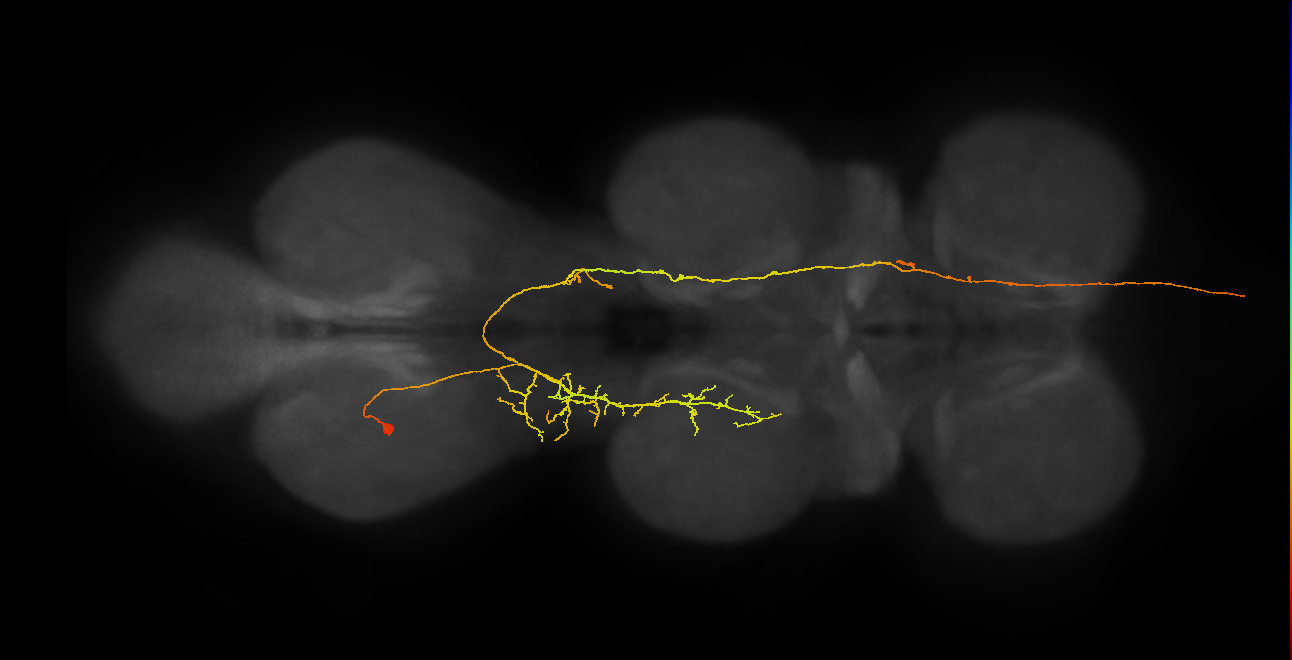 AN07B077_A1_L (MANC:25366)
