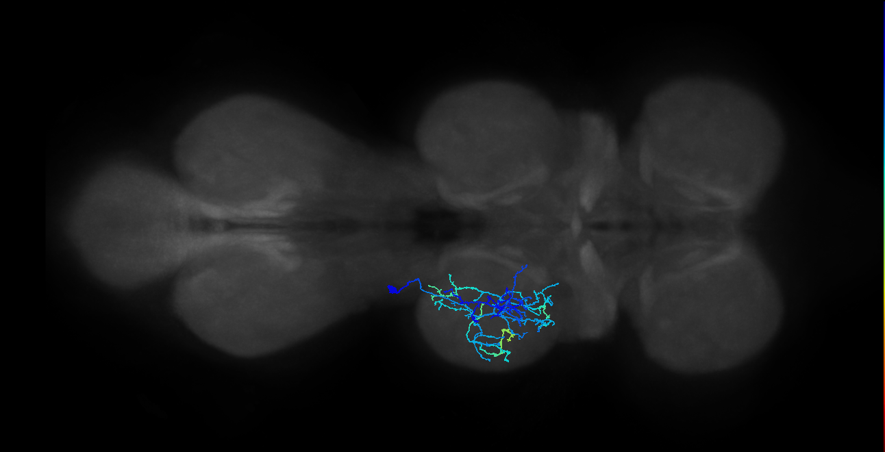 IN20A.22A019_T2_L (MANC:25423)