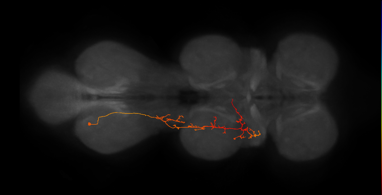 IN03B079_A1_L (MANC:25441)