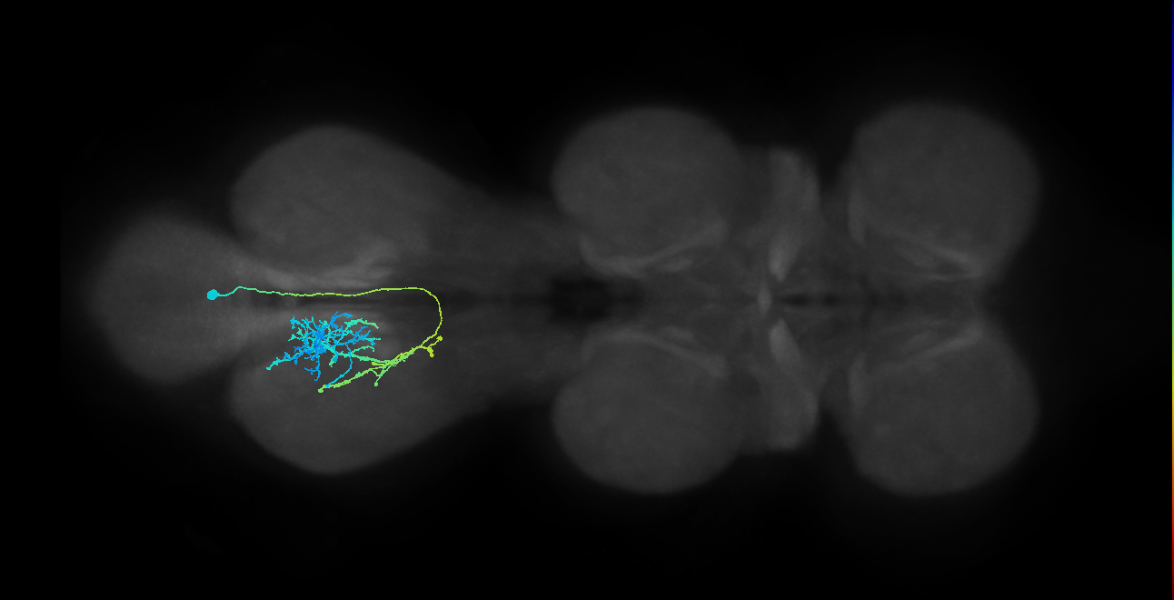 IN12B020_T3_R (MANC:25488)