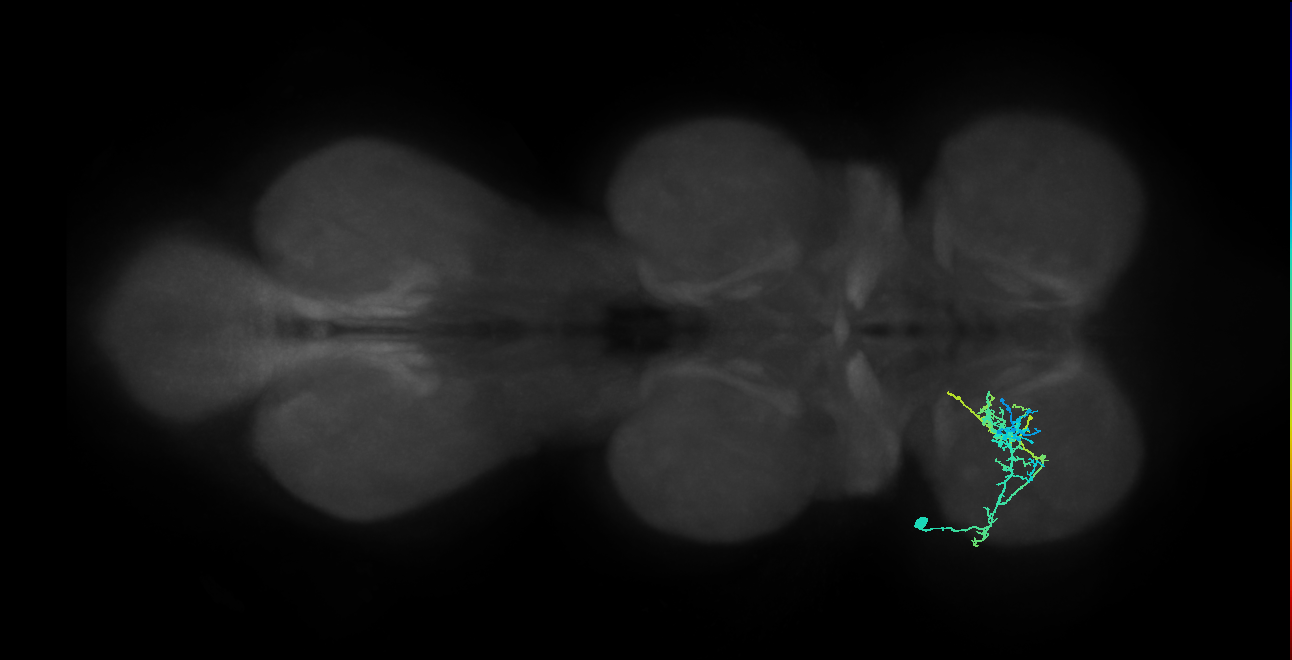 IN20A.22A027_T1_L (MANC:25600)