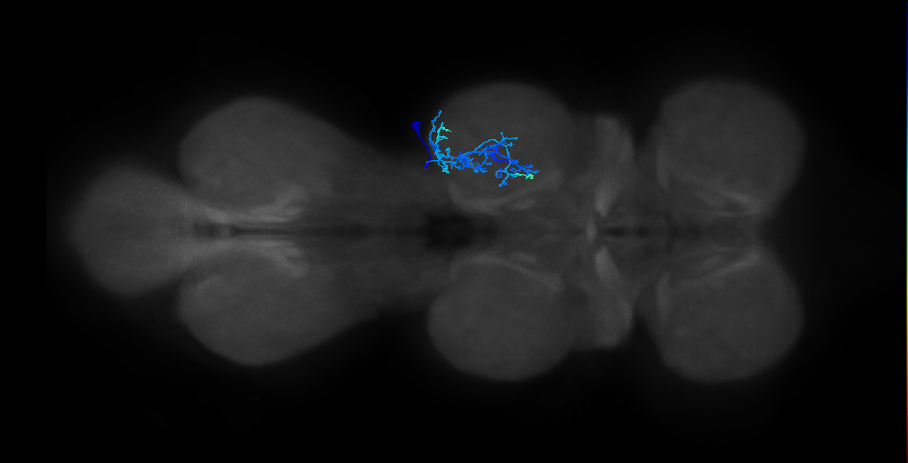 IN20A.22A024_T2_R (MANC:25665)