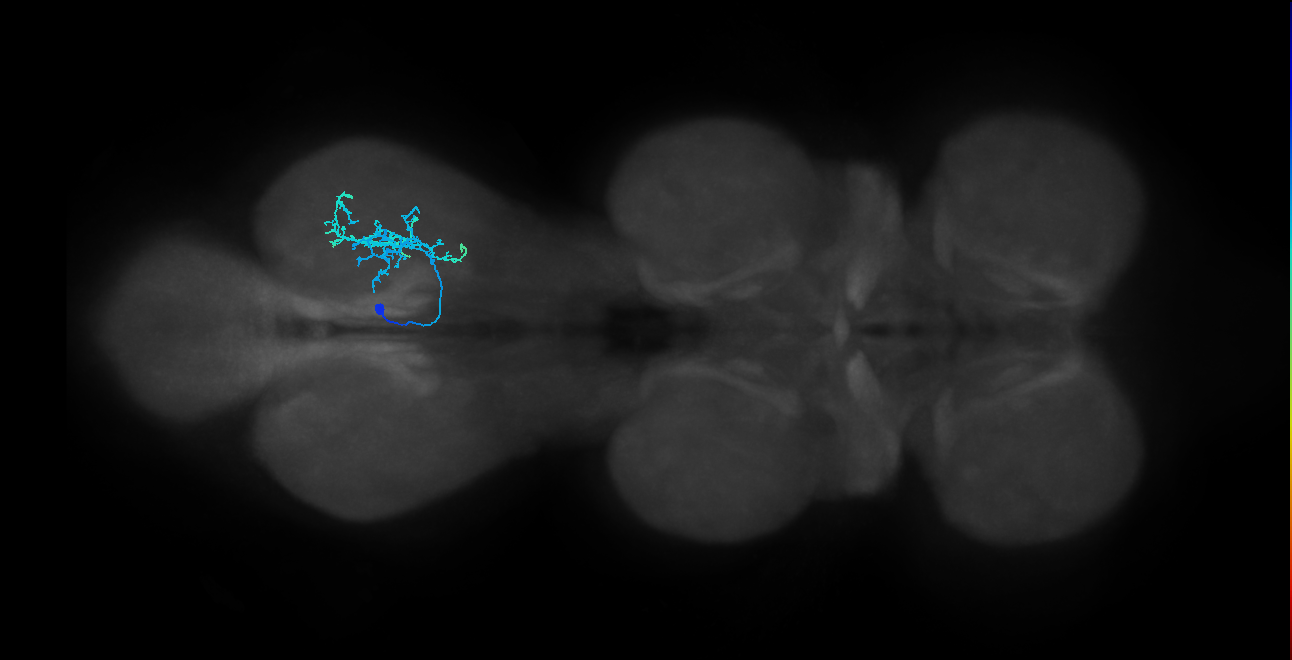 IN14A004_T3_L (MANC:25756)