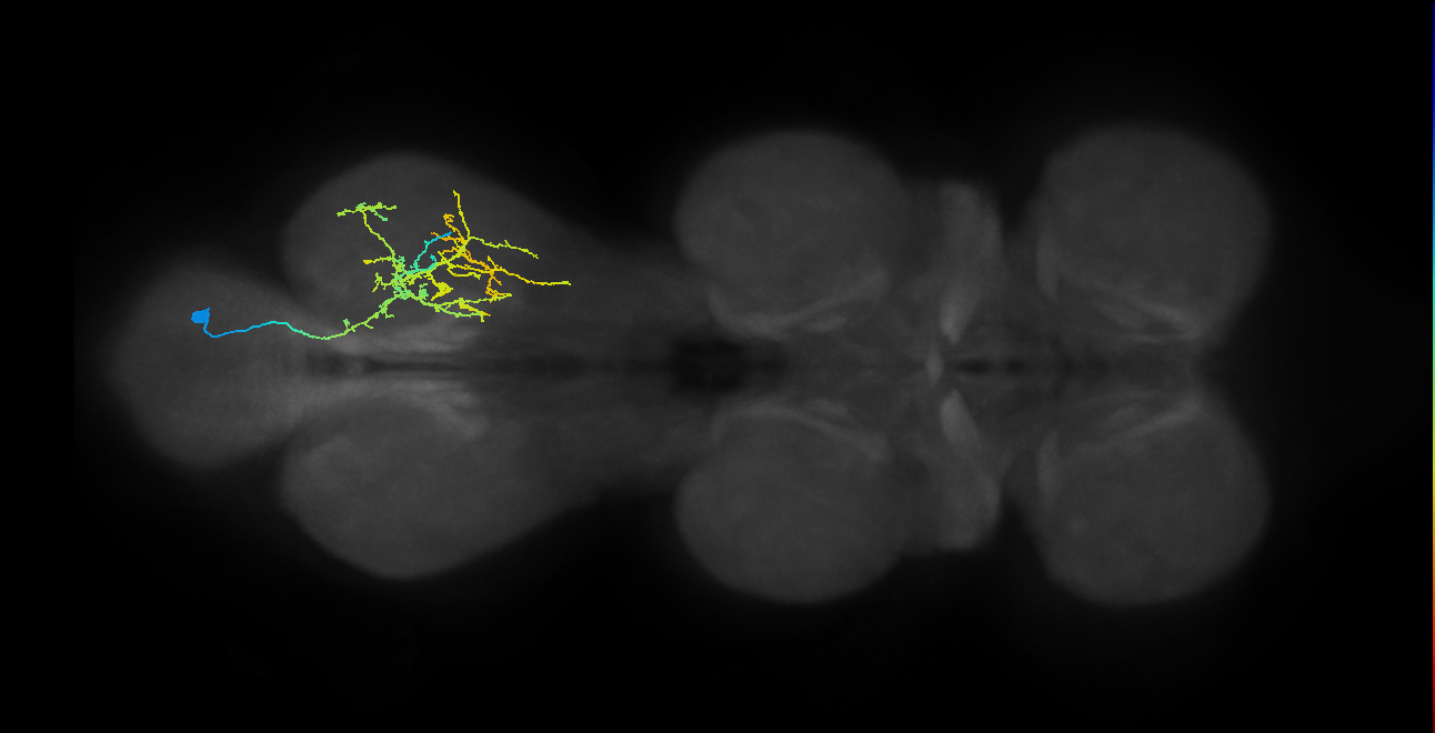 IN04B045_T3_R (MANC:25841)