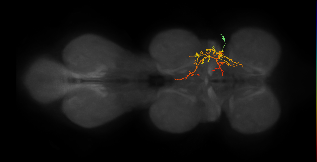 IN03B073_T1_R (MANC:25859)