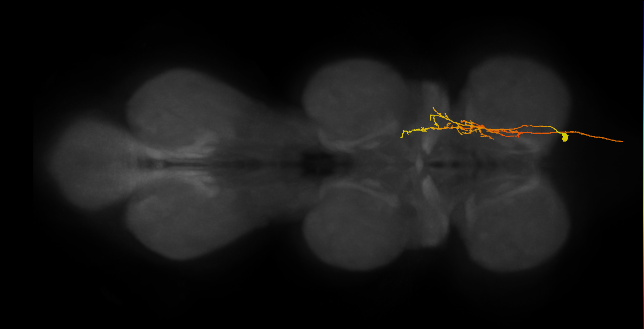 AN16X037_T1_R (MANC:25966)