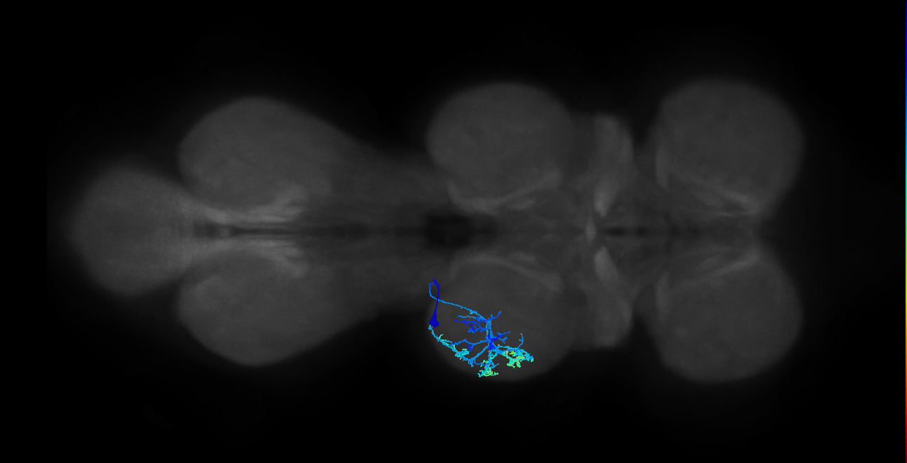 IN20A.22A017_T2_L (MANC:25988)