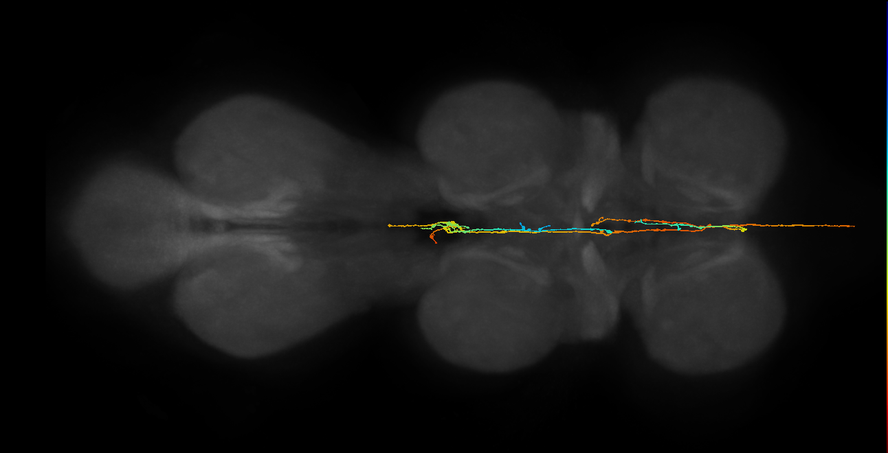 TBD (MANC:53591964492)