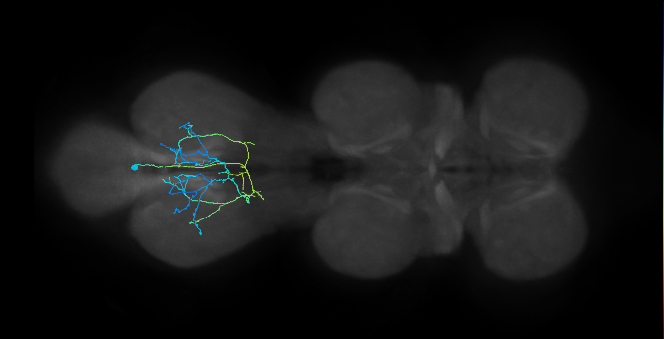 IN12B014_T3_R (MANC:26111)