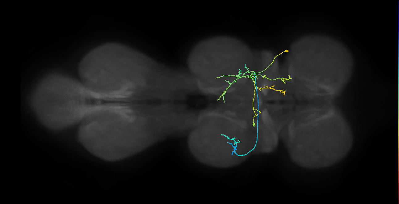 IN01A067_T2_R (MANC:26139)
