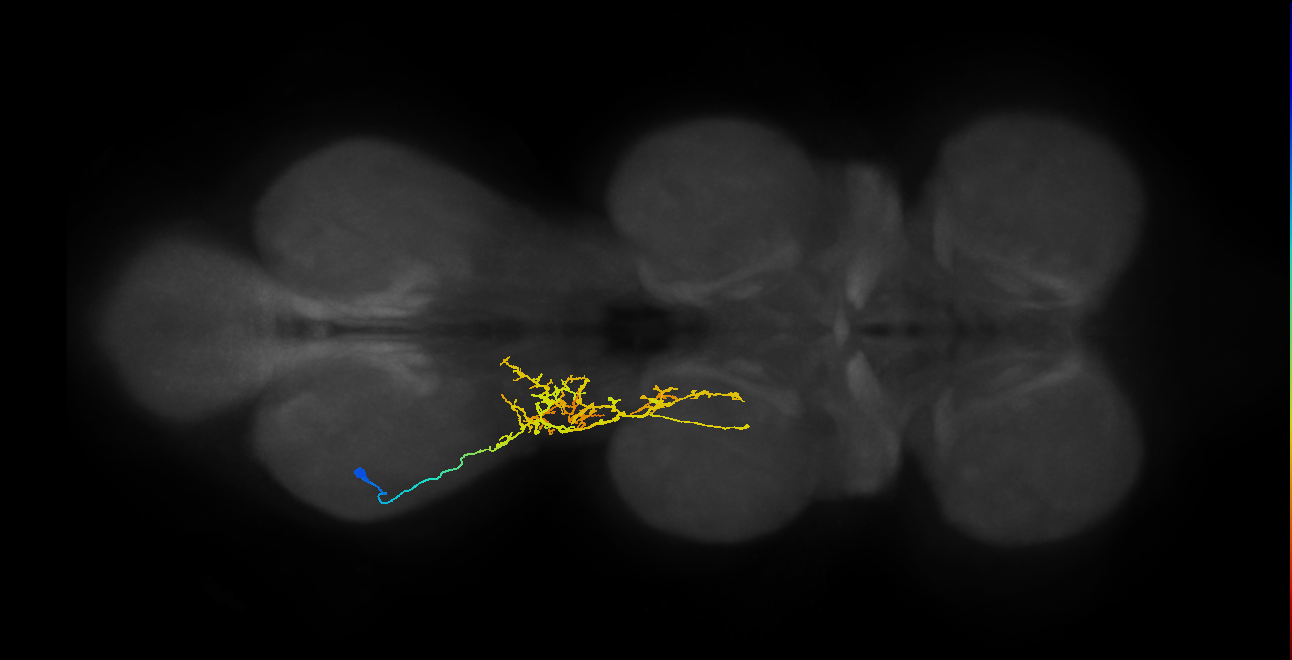 IN16X044_T3_L (MANC:26224)