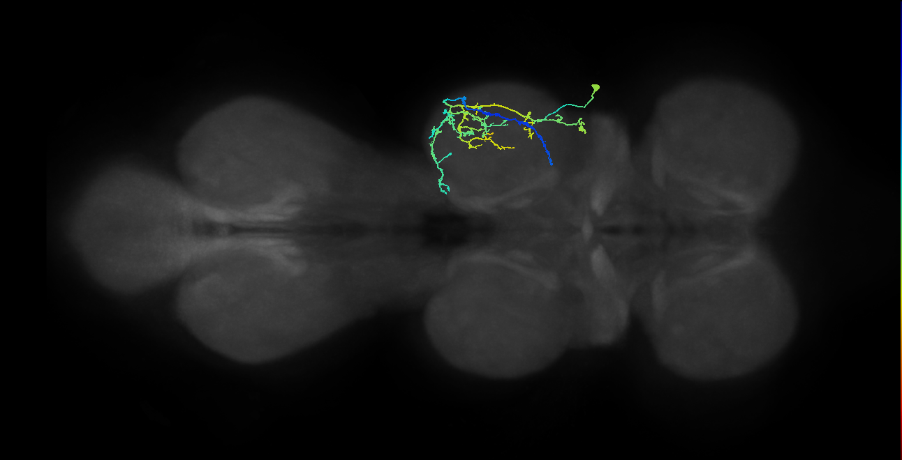 IN08A036_T2_R (MANC:26274)