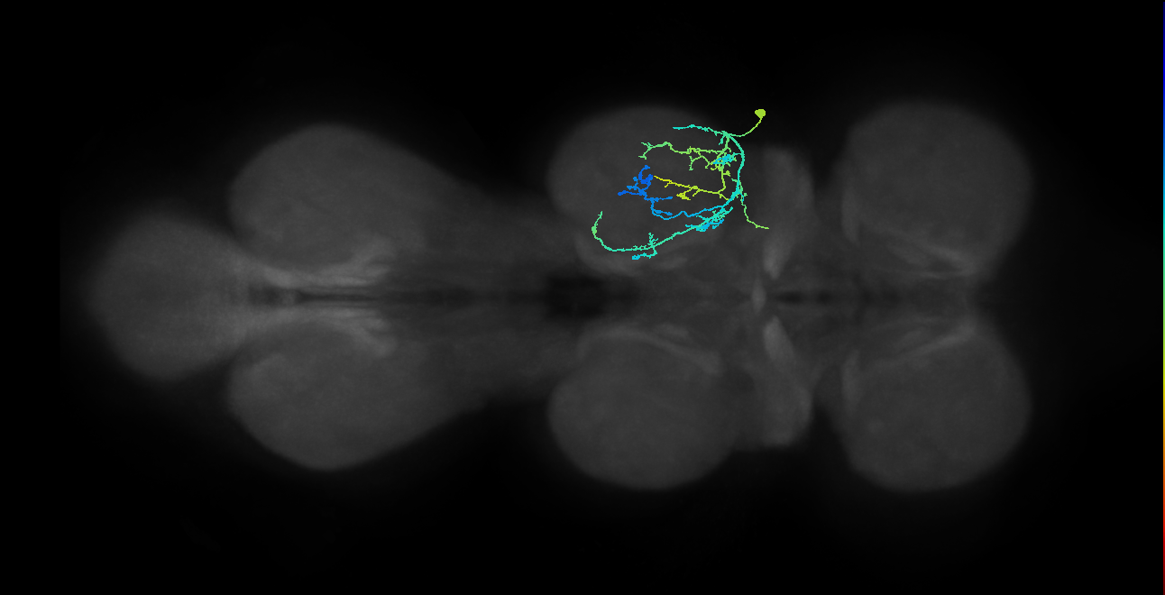 IN09A023_T2_R (MANC:26284)