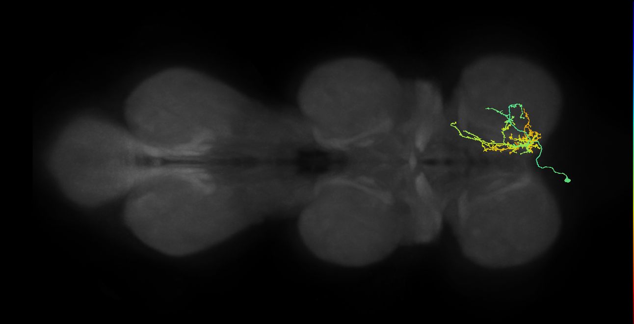 IN14A002_T1_L (MANC:26409)