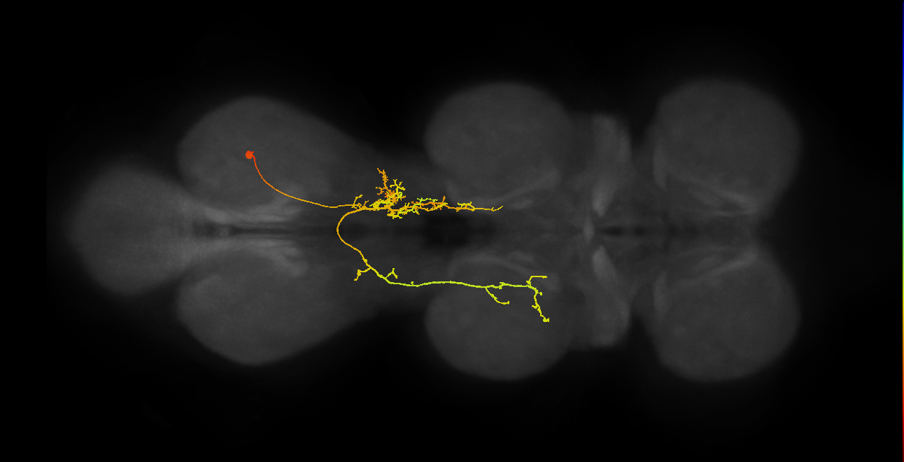 IN07B075_A1_R (MANC:26414)