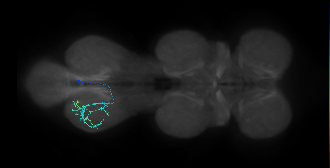 IN14A005_T3_R (MANC:26442)