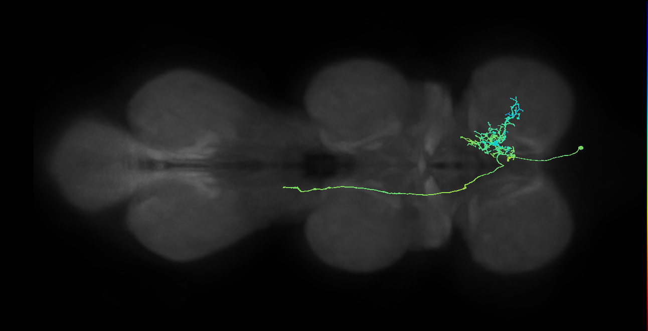 IN10B013_T1_R (MANC:26537)