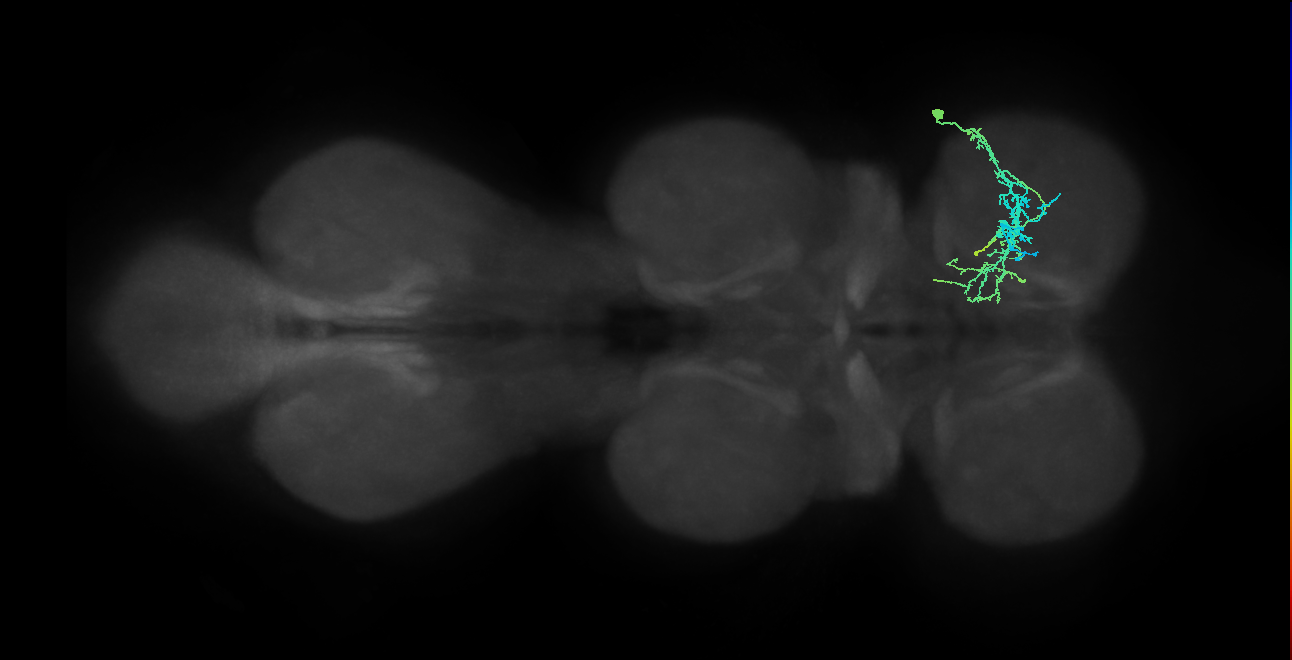 IN20A.22A025_T1_R (MANC:26559)