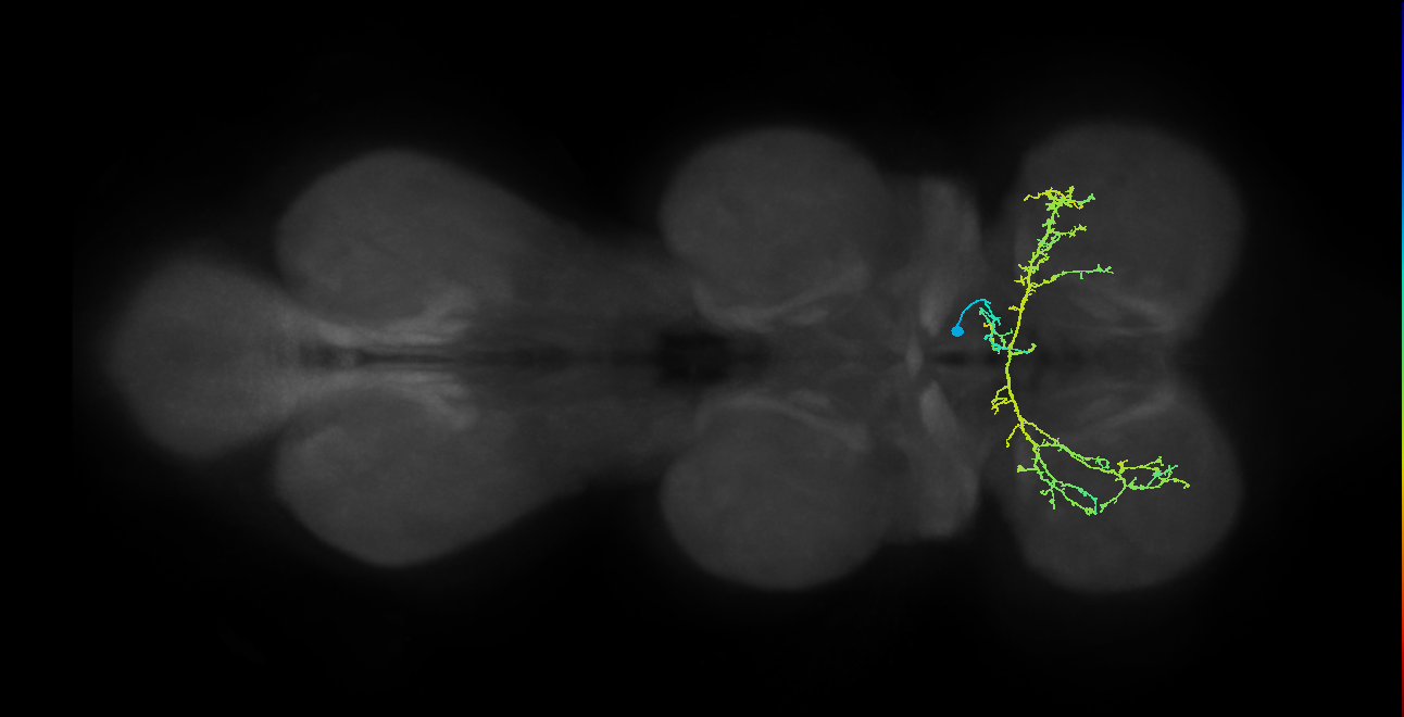 IN12B008_T1_R (MANC:26627)