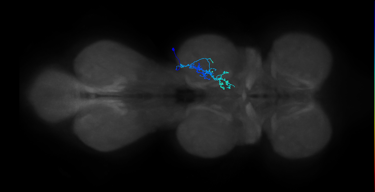 IN20A.22A025_T2_R (MANC:26739)