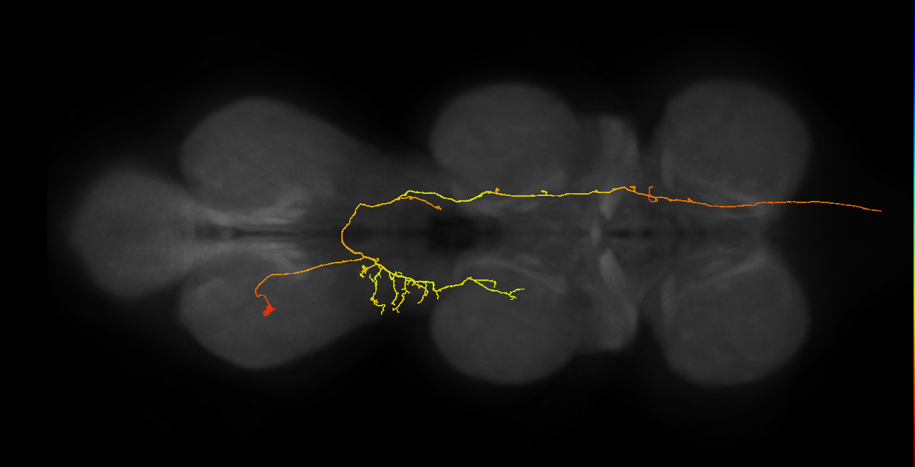 AN07B077_A1_L (MANC:26801)