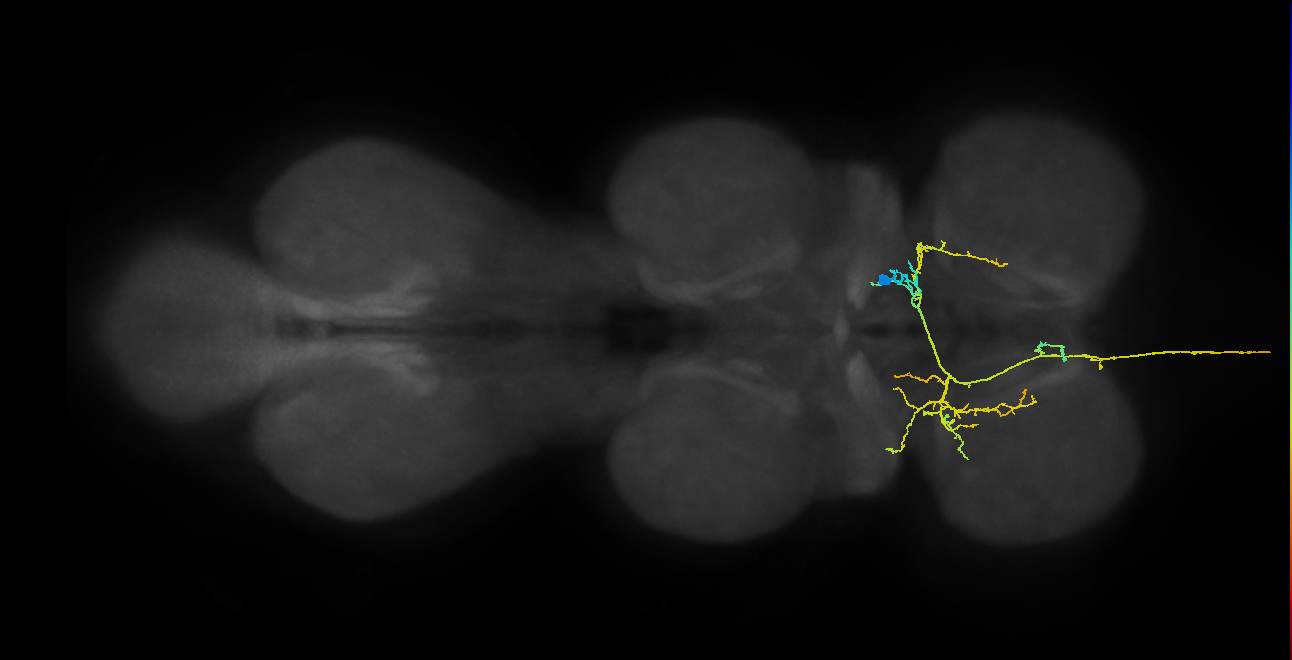 AN12B023_T1_R (MANC:27046)