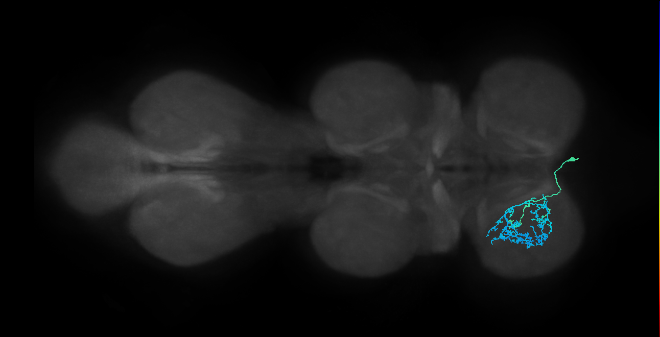 IN14A008_T1_R (MANC:27168)