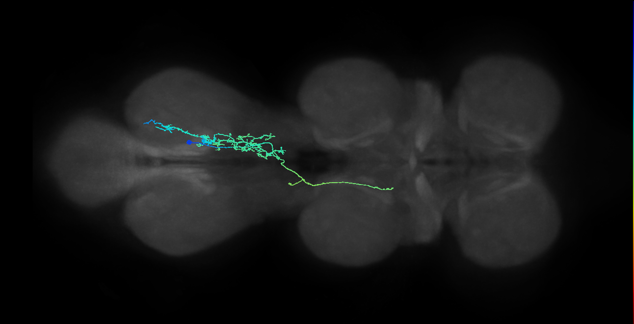 IN10B013_T3_R (MANC:27283)