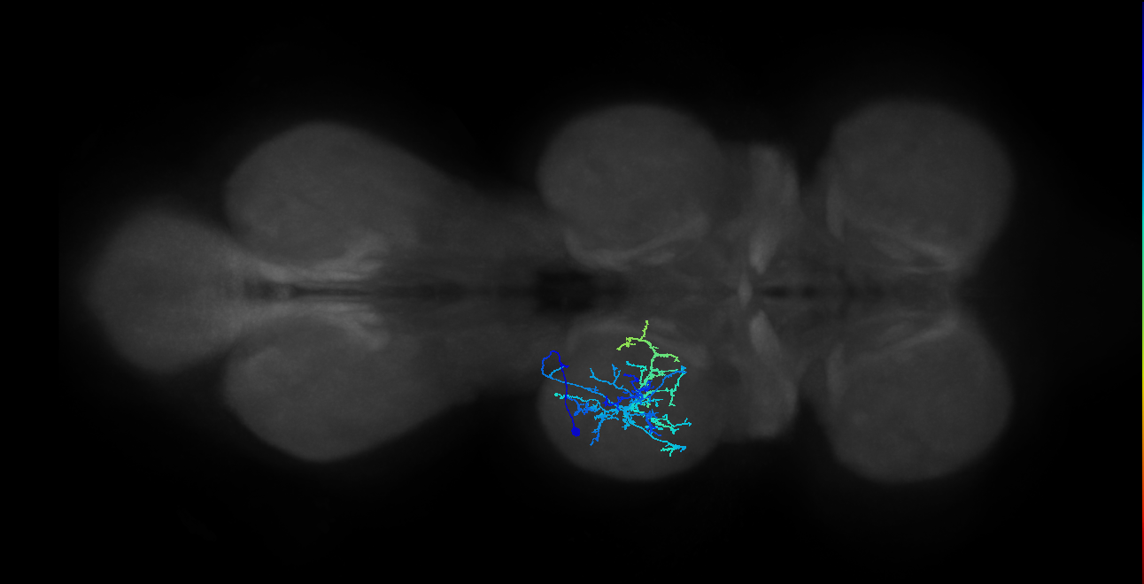 IN20A.22A018_T2_L (MANC:27330)