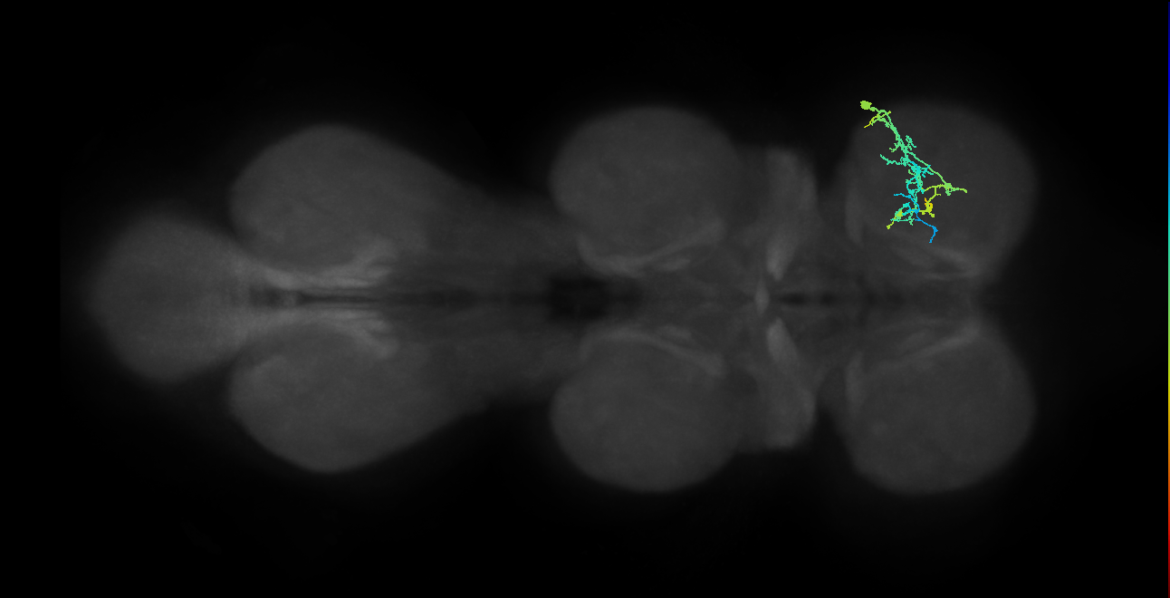 IN20A.22A027_T1_R (MANC:27536)