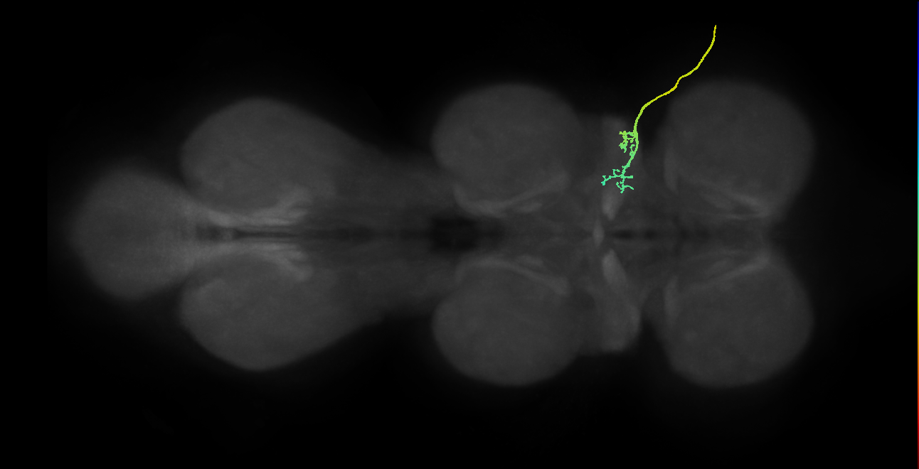 SNta03_ADMN_R (MANC:27632)