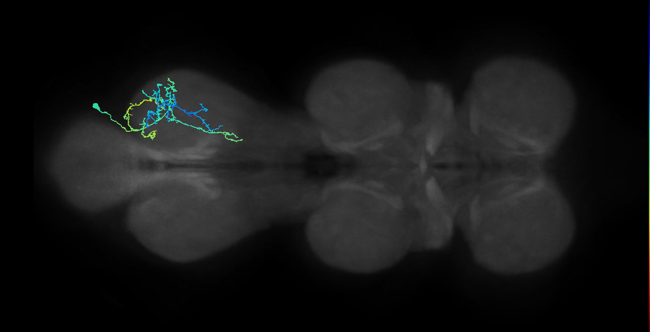 IN20A.22A023_T3_R (MANC:27744)