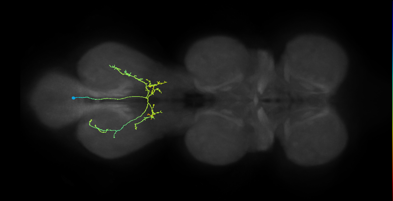 IN12B008_T3_R (MANC:27821)