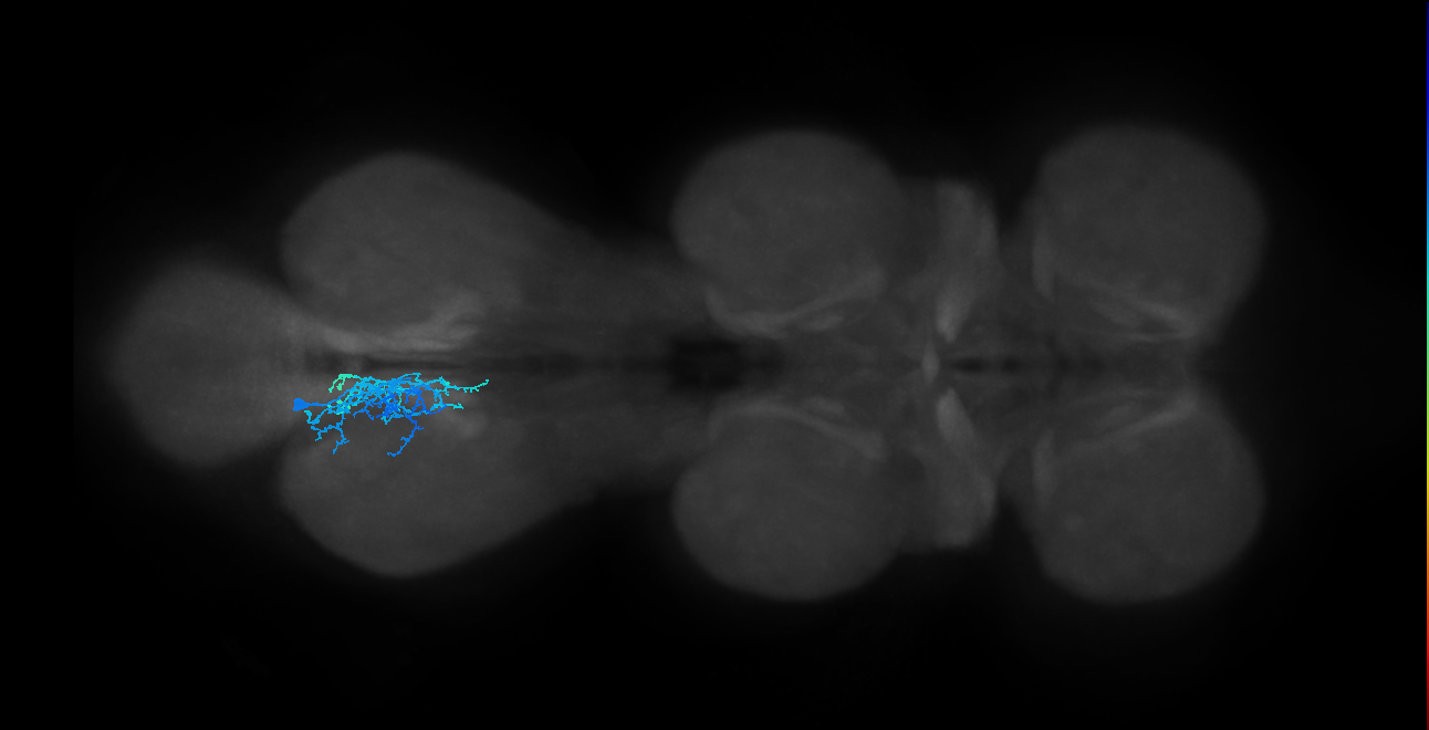 IN01B012_T3_L (MANC:27879)