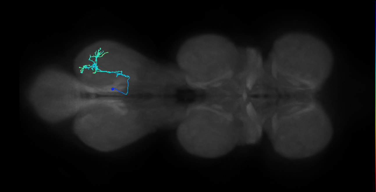 IN14A005_T3_L (MANC:27958)