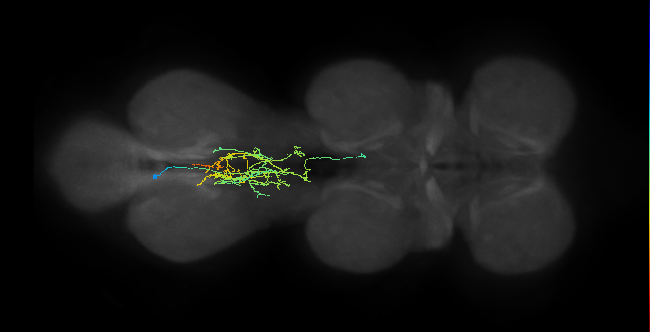 IN05B027_T3_L (MANC:27962)