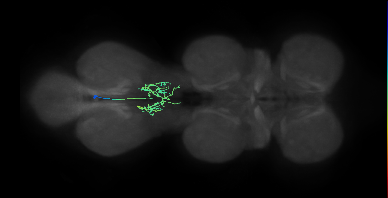 IN00A080_T3_M (MANC:27984)