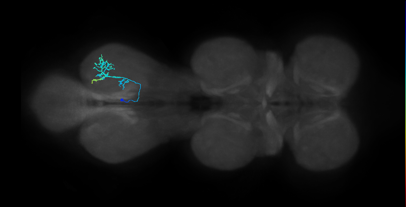 IN14A005_T3_L (MANC:28050)