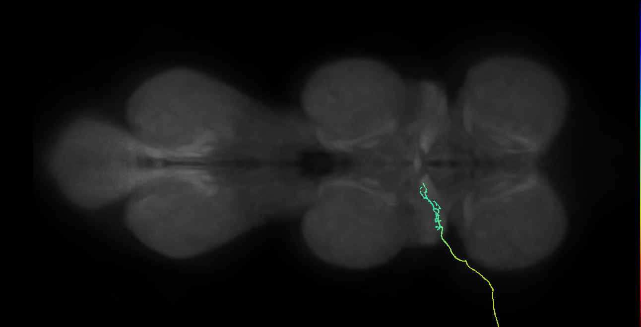 SNch03_ADMN_L (MANC:28334)