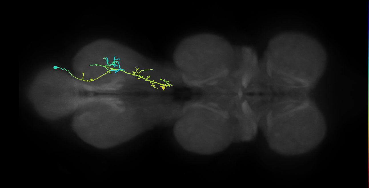 IN21A042_T3_R (MANC:28354)