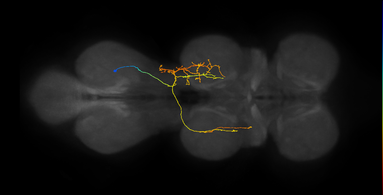 IN07B085_T3_R (MANC:28393)