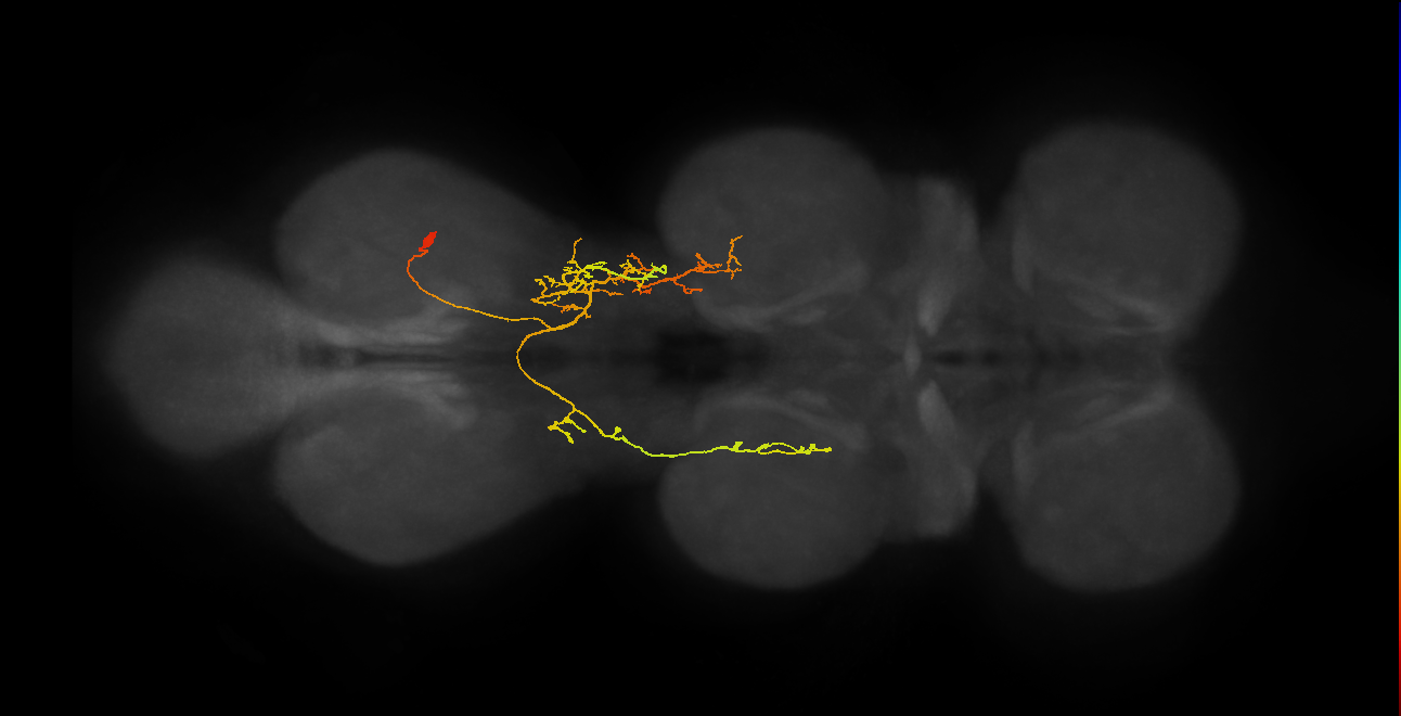 IN07B080_A1_R (MANC:28429)