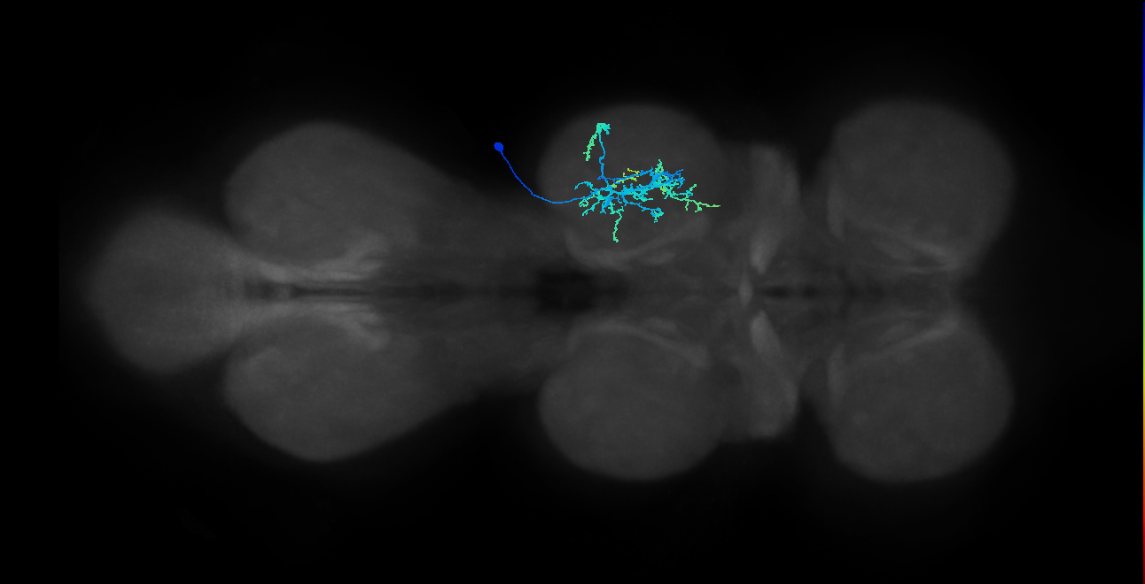 IN20A.22A014_T2_R (MANC:28438)